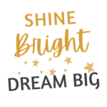 shine bright dream big | unisex oversized standard t shirt